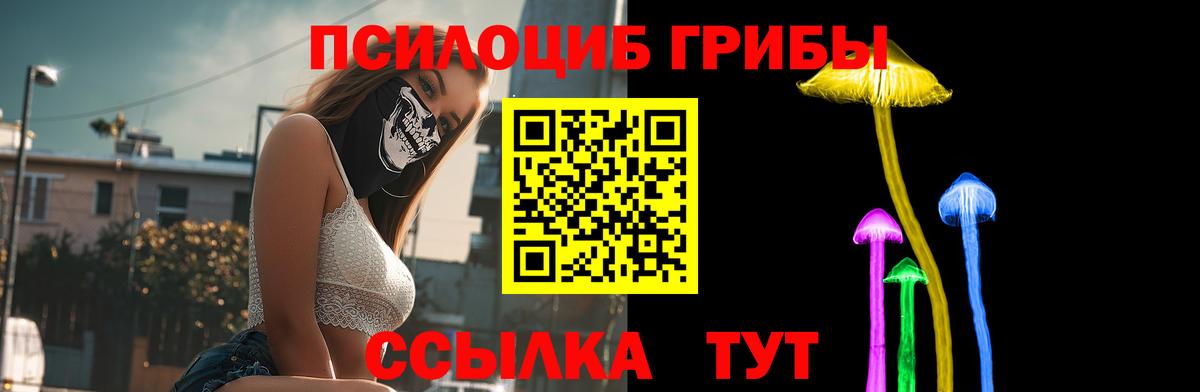 Псилоцибиновые грибы Cubensis  Вход с VPN  Серов  Галлюциногенные грибы мухоморы 